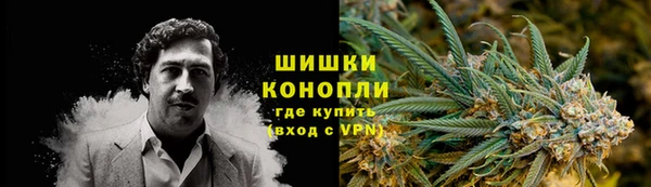 сатива Россошь