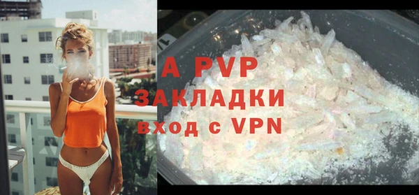 сатива Россошь