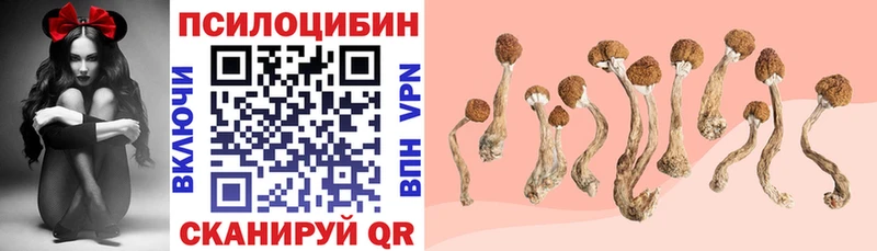 Галлюциногенные грибы MAGIC MUSHROOMS  Ишимбай 